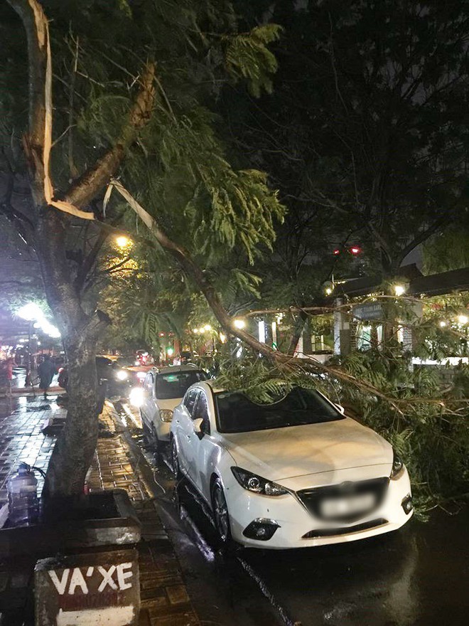 Clip: Hà Nội đón cơn mưa dông lớn kèm gió to khiến cây cối gãy đổ, đường bụi mù khiến người dân di chuyển vô cùng khó khăn - Ảnh 7.