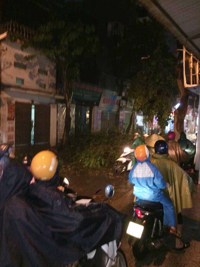 Clip: Hà Nội đón cơn mưa dông lớn kèm gió to khiến cây cối gãy đổ, đường bụi mù khiến người dân di chuyển vô cùng khó khăn - Ảnh 8.