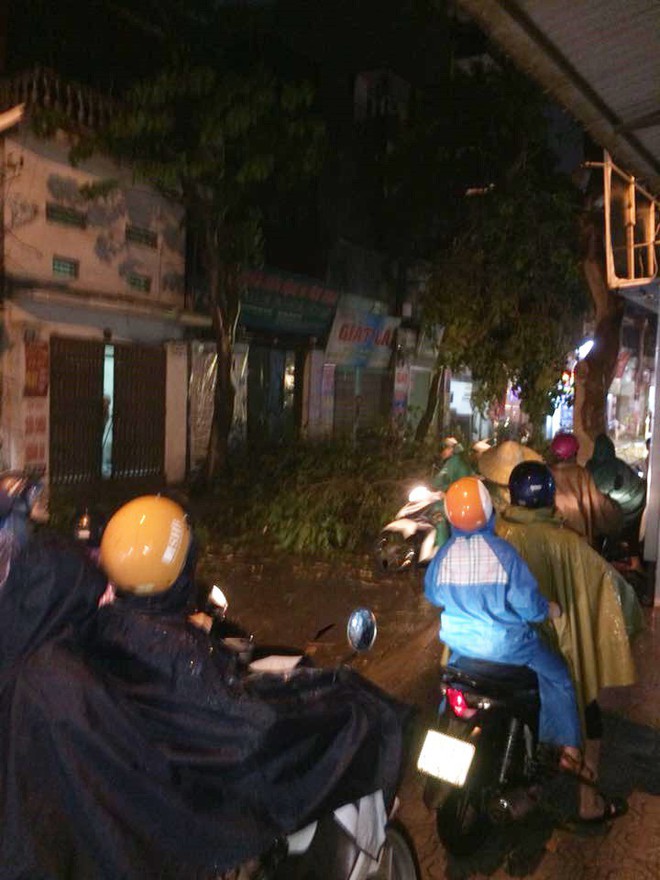 Clip: Hà Nội đón cơn mưa dông lớn kèm gió to khiến cây cối gãy đổ, đường bụi mù khiến người dân di chuyển vô cùng khó khăn - Ảnh 8. Clip: Hà Nội đón cơn mưa dông lớn kèm gió to khiến cây cối gãy đổ, đường bụi mù khiến người dân di chuyển vô cùng khó khăn - Ảnh 8.