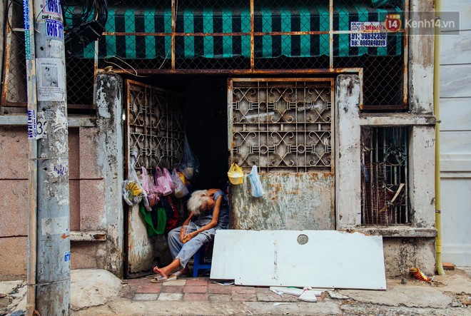Chuyện của ngoại Liên cô đơn: Sống nhờ vào tình thương hàng xóm để cưu mang những con vật cơ nhỡ giữa Sài Gòn - Ảnh 1.
