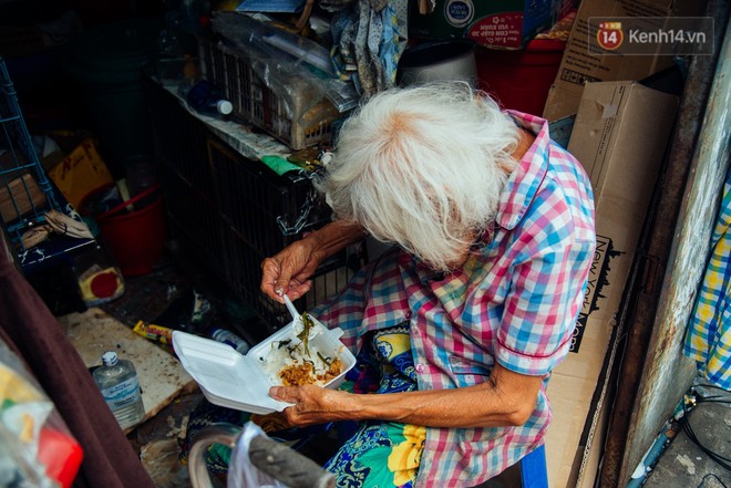 Chuyện của ngoại Liên cô đơn: Sống nhờ vào tình thương hàng xóm để cưu mang những con vật cơ nhỡ giữa Sài Gòn - Ảnh 5.