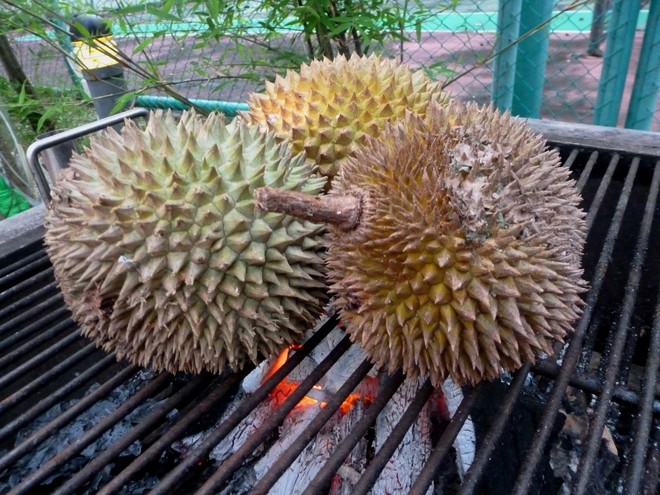 Mother shaking her head when her daughter insists on grilling durians but little did she know that this is a delicacy at a fancy restaurant - Photo 2.