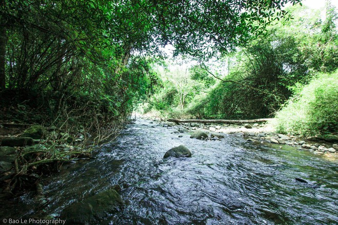 Những tai nạn đáng tiếc ở Tà Năng - Phan Dũng: Cung đường trekking đẹp nhất Việt Nam nhưng cũng đầy hiểm nguy khó lường - Ảnh 8.