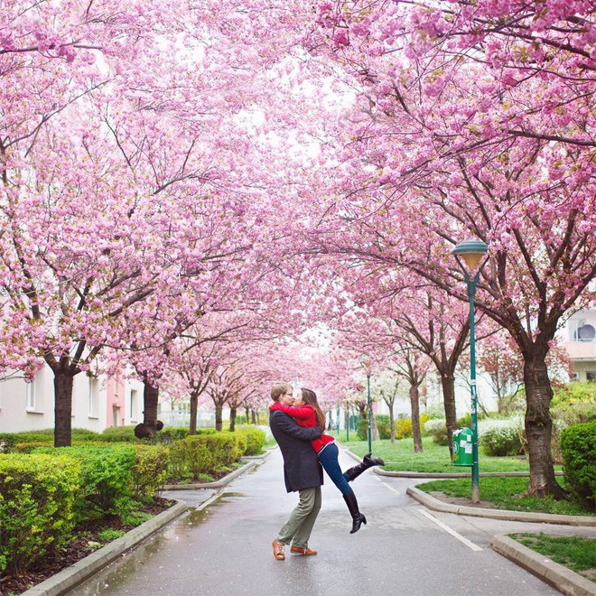 Đi tìm duyên phận định mệnh cho 12 con giáp - Ảnh 2.