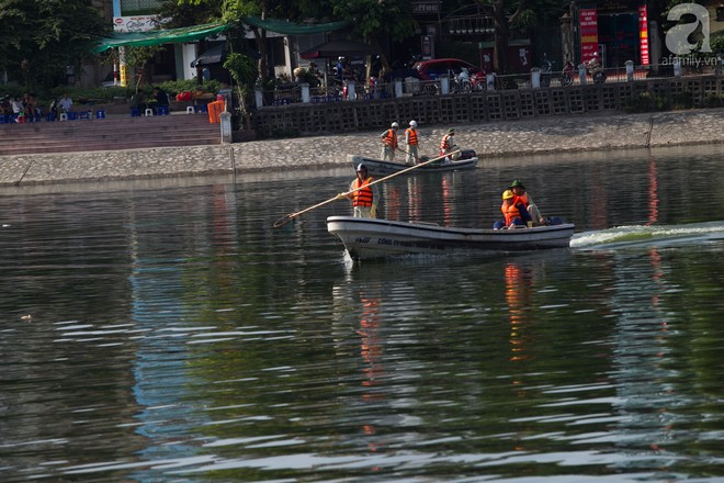 Hà Nội: Cá lại chết, nổi trắng mặt hồ Hoàng Cầu - Ảnh 7.