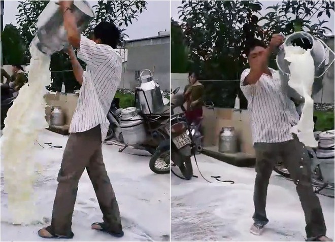 Chính quyền và nhà máy sữa Nghệ An nói gì vụ người nông dân tức giận đổ sữa trắng xóa mặt đường? - Ảnh 1. Chính quyền và nhà máy sữa Nghệ An nói gì vụ người nông dân tức giận đổ sữa trắng xóa mặt đường? - Ảnh 1.