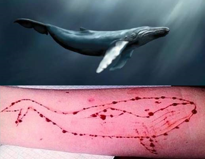 Những người đã thiệt mạng bởi trò chơi nguy hiểm cá voi xanh trên khắp thế giới - Ảnh 1.