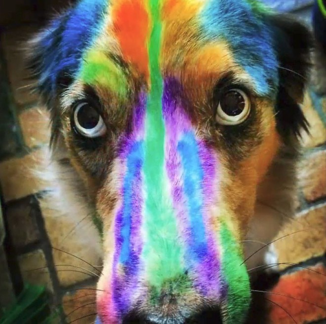 Cô giáo ra bài tập Hãy vẽ con vật mà em yêu thích nhất và đây là kết quả - Ảnh 6.