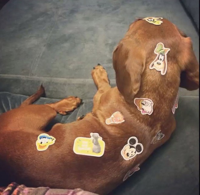 Cô giáo ra bài tập Hãy vẽ con vật mà em yêu thích nhất và đây là kết quả - Ảnh 14.