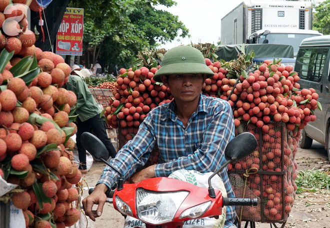 Đột nhập vựa vải thiều lớn nhất miền Bắc vào mùa: Một năm có một lần nhộn nhịp, bận rộn nên quá vui - Ảnh 2.