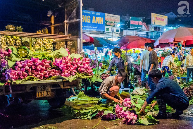 Hà Nội: Những ngày đầu tháng 6, chợ hoa Quảng Bá có thêm hương sắc của cả ngàn bông sen - Ảnh 1.