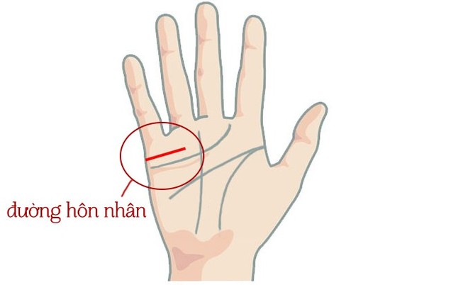 Xòe bàn tay xem hôn nhân của bạn thuận lợi hay nhiều trắc trở - Ảnh 1.