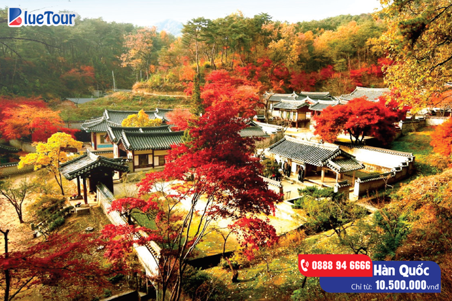 Hàn Quốc, Nhật Bản – điểm đến không thể bỏ qua của những tín đồ du lịch hè này - Ảnh 2.