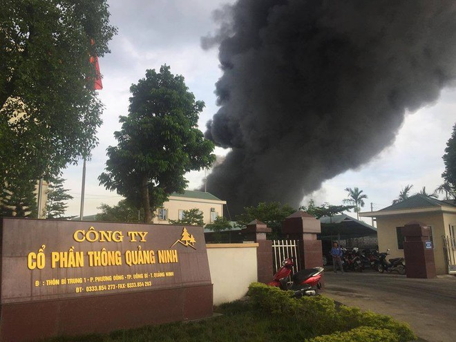 Cháy lớn tại Công ty nhựa Thông Quảng Ninh, khói bốc cao hàng chục mét - Ảnh 1.