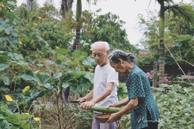 Phát sốt với bộ ảnh ai xem cũng mê: Ông rửa tay, chải tóc, đọc truyện... cho bà tình đến thế này! - Ảnh 7.