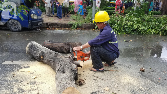 TP.HCM: Loạt cây lớn đổ đè nát ô tô, bảng hiệu văng tứ tung khiến người đi đường hoảng sợ trong mưa lốc - Ảnh 5.