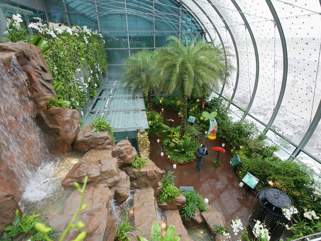 Changi có nhiều tiện nghi mua sắm, giải trí thế này, bảo sao luôn nằm trong top sân bay được ưa thích nhất thế giới - Ảnh 6.