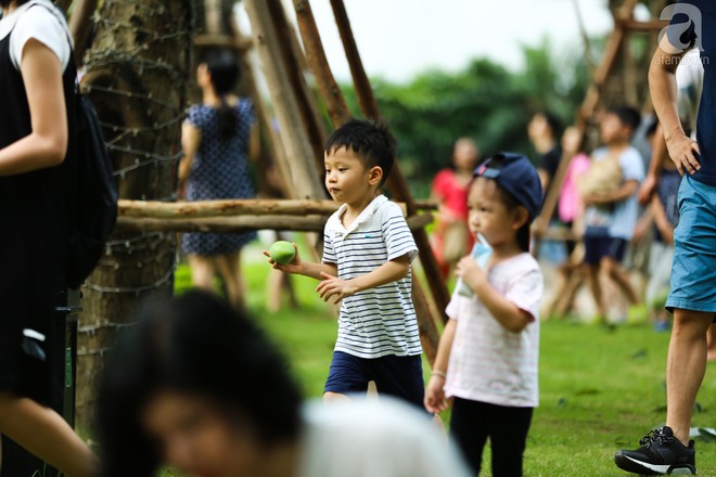 Nhiều gia đình cùng trẻ em đổ xô đi hái xoài ngay trong khu đô thị ở Hà Nội - Ảnh 8.