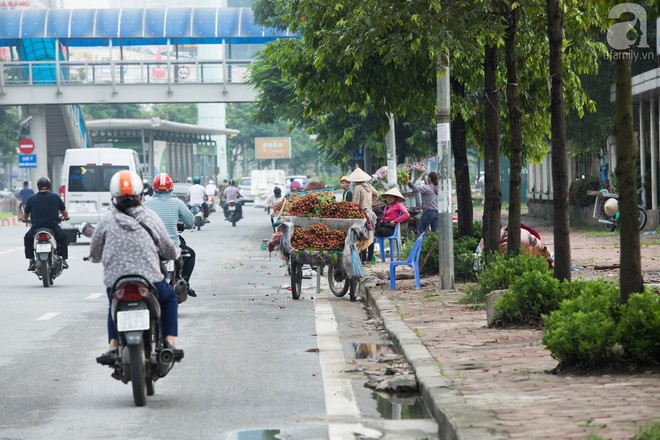 Giá vải thiều rẻ, nhưng người mua vẫn không mặn mà với quả vải - Ảnh 2. Giá vải thiều rẻ, nhưng người mua vẫn không mặn mà với quả vải - Ảnh 2.