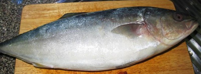 Cá cu, vú nàng là 2 trong 4 đặc sản nghe tên đã thấy ngượng đỏ mặt, ăn vào thì mê tít - Ảnh 10.