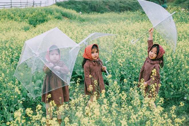 Bộ ba bạn thân Mầm - Mũm - Mon xuất hiện siêu yêu trong bộ ảnh chụp trên cánh đồng hoa cải - Ảnh 5.