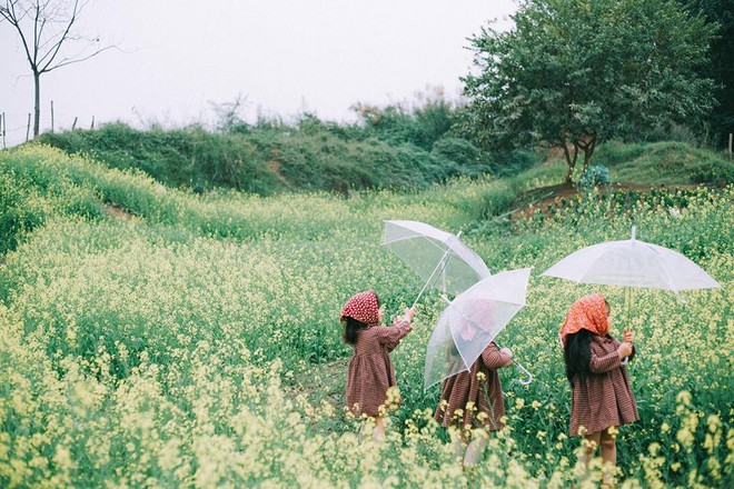 Bộ ba bạn thân Mầm - Mũm - Mon xuất hiện siêu yêu trong bộ ảnh chụp trên cánh đồng hoa cải - Ảnh 7.