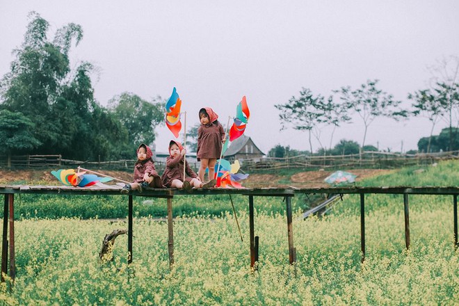 Bộ ba bạn thân Mầm - Mũm - Mon xuất hiện siêu yêu trong bộ ảnh chụp trên cánh đồng hoa cải - Ảnh 10.