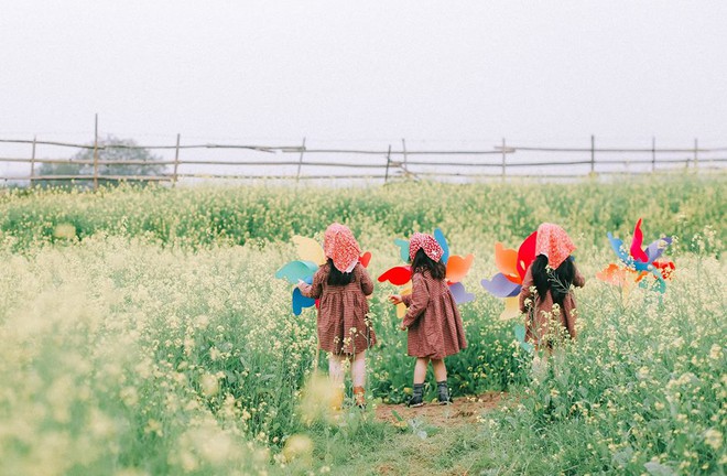 Bộ ba bạn thân Mầm - Mũm - Mon xuất hiện siêu yêu trong bộ ảnh chụp trên cánh đồng hoa cải - Ảnh 13.
