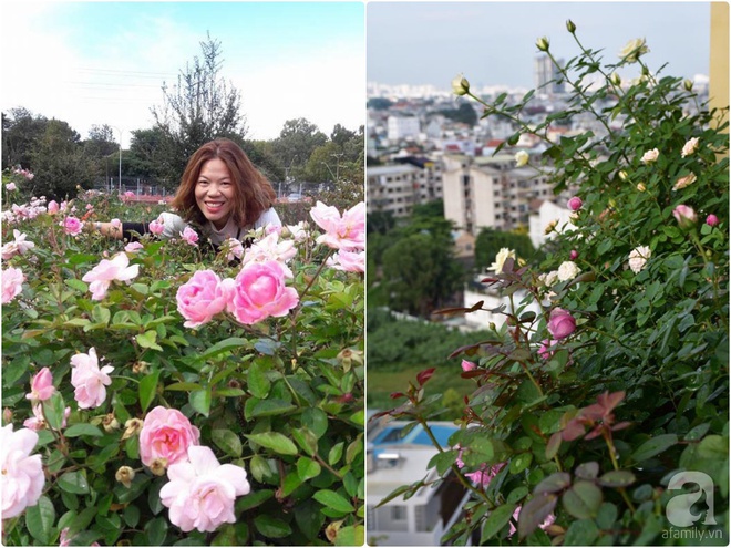 Ngắm ban công chỉ vỏn vẹn 2,2m² nhưng có tới hơn 20 chậu hồng thơm ngát ở Sài Gòn - Ảnh 1.