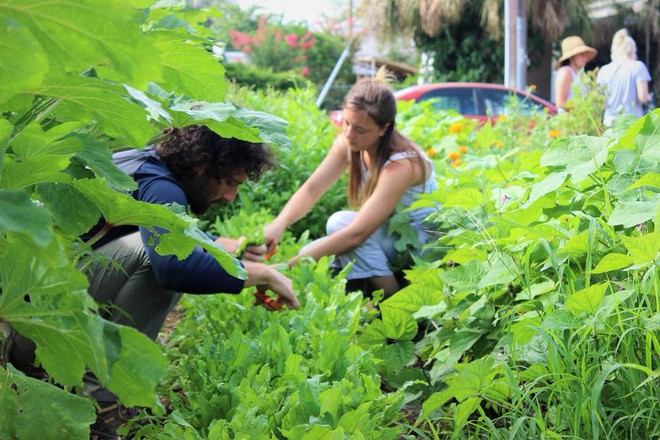 Khu vườn tạo cảm hứng cho hàng nghìn trẻ em yêu thích trồng trọt ở Mỹ - Ảnh 13.