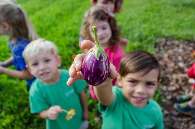 Khu vườn tạo cảm hứng cho hàng nghìn trẻ em yêu thích trồng trọt ở Mỹ - Ảnh 14.