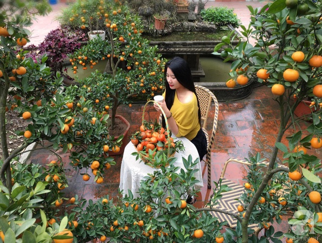 Khu vườn rộng đến nghìn mét vuông, trăm hoa đua nở ở ngoại thành Hà Nội của người phụ nữ có niềm yêu hoa đến cháy bỏng - Ảnh 5.