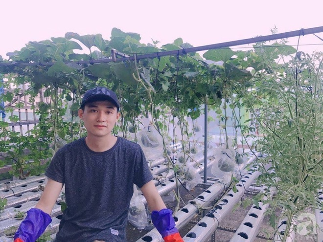 Vườn thủy canh bạt ngàn rau quả trên sân thượng thu hoạch đến gần 100kg mỗi vụ của chàng sinh viên kinh tế 9x - Ảnh 1.