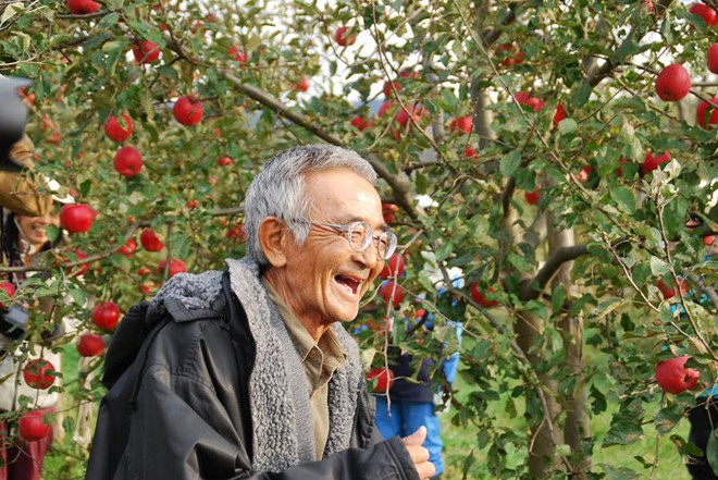 Vườn táo đẹp như cổ tích của cụ ông người Nhật dành tâm huyết suốt 11 năm chăm sóc - Ảnh 2.