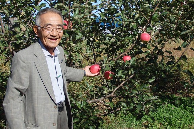 Vườn táo đẹp như cổ tích của cụ ông người Nhật dành tâm huyết suốt 11 năm chăm sóc - Ảnh 3.