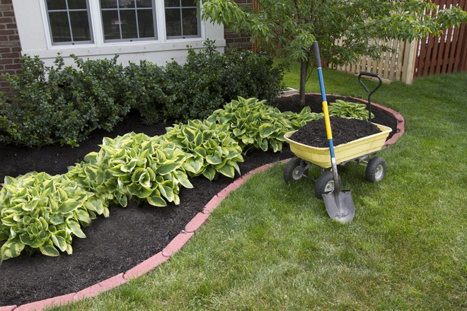 Nếu yêu thích làm vườn, hãy học ngay 8 cách diệt cỏ dại bằng nguyên liệu tự nhiên vừa hiệu quả vừa an toàn - Ảnh 8.