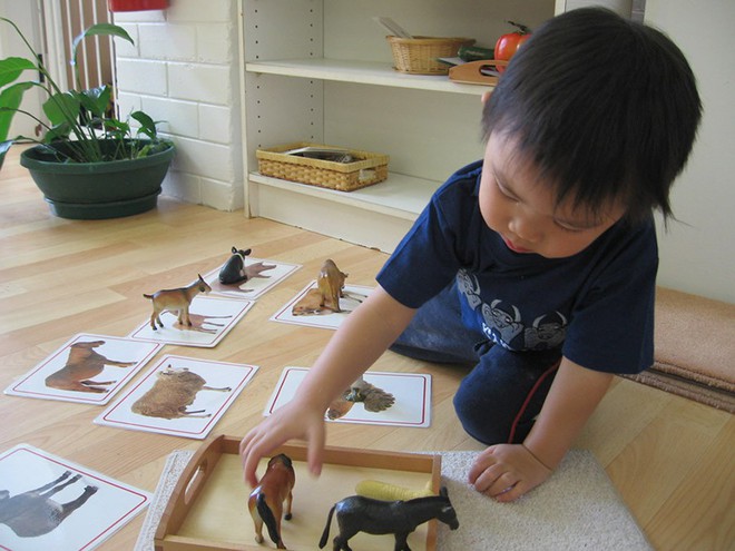 Những điều ấn tượng nhất của phương pháp Montessori đã thuyết phục nhiều phụ huynh - Ảnh 3.