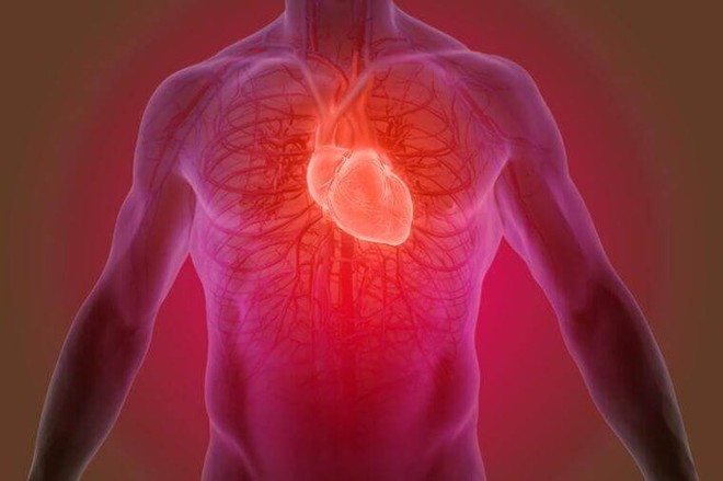9 dấu hiệu cho thấy bạn có thể mắc bệnh van tim - Ảnh 2.