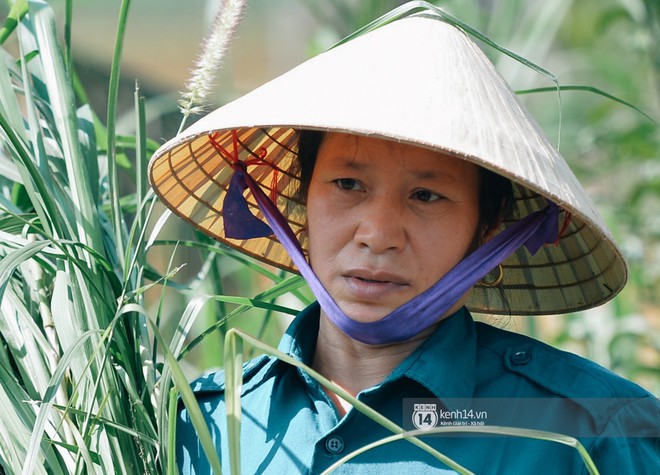 Bố mẹ Bùi Tiến Dũng vẫn vui vẻ cắt mía, cho trâu ăn ở quê nhà: Việt Nam vô địch, chúng tôi sẽ mổ bò để liên hoan! - Ảnh 7.