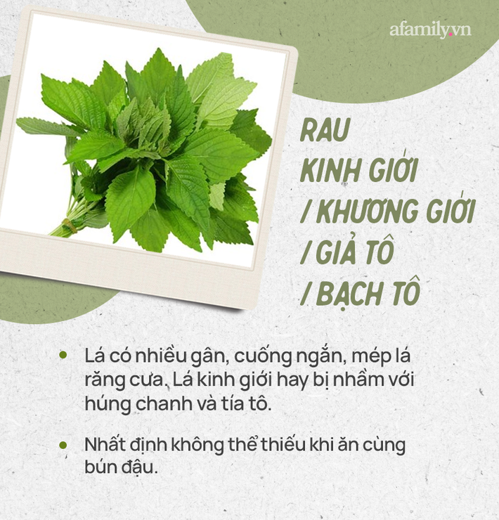 Đừng tự nhận mình là gái đảm nếu chưa phân biệt được các loại rau thơm này hội chị em nhé!  - Ảnh 11.