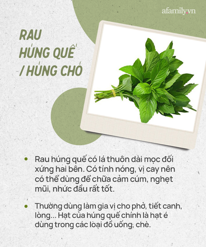 Đừng tự nhận mình là gái đảm nếu chưa phân biệt được các loại rau thơm này hội chị em nhé!  - Ảnh 8.