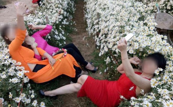 Bất chấp biển cấm, nhóm người phụ nữ mặc áo dài vẫn ngồi, nằm lên cỏ để chụp ảnh, tạo dáng ở bảo tàng cafe nhận 