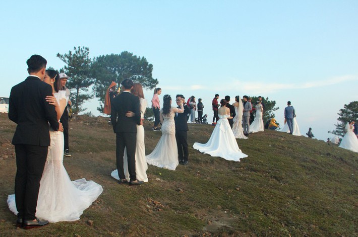 Nhìn tấm hình cả một ngọn đồi toàn cô dâu chú rể chụp ảnh cưới mà cứ có cảm giác 