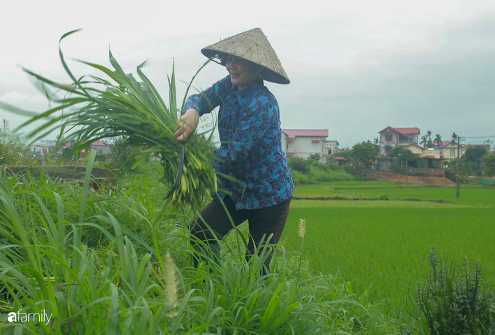 Cuộc sống bên trong xã Sơn Lôi trước giờ gỡ cách ly: Người dân thoải mái vui chơi, chợ búa nhộn nhịp trở lại - Ảnh 17.