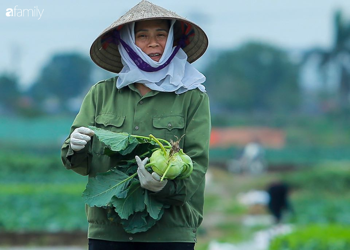 Hà Nội: Trận mưa lúc rạng sáng nhấn chìm nhiều ruộng rau, người dân vừa huy động máy bơm nước vừa tất bật thu hoạch vớt vát tài sản - Ảnh 11.