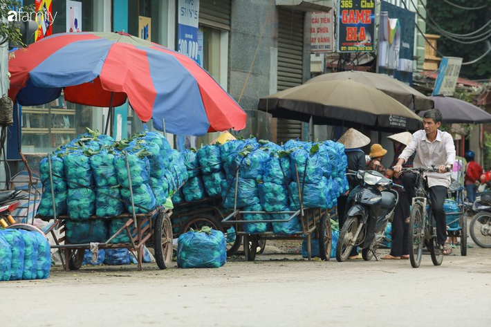 Hà Nội: Trận mưa lúc rạng sáng nhấn chìm nhiều ruộng rau, người dân vừa huy động máy bơm nước vừa tất bật thu hoạch vớt vát tài sản - Ảnh 16.