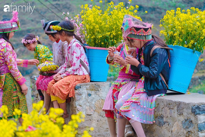 Hà Giang tháng 3 đẹp mê hồn trong mắt cô gái trẻ xứ Thanh, thật khó tin khi 4 loài hoa núi rừng đủ sắc màu cùng nở một lúc - Ảnh 15.