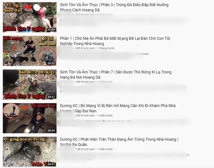 Xuất hiện kênh youtube hướng dẫn sinh tồn ngoài tự nhiên bằng cách 