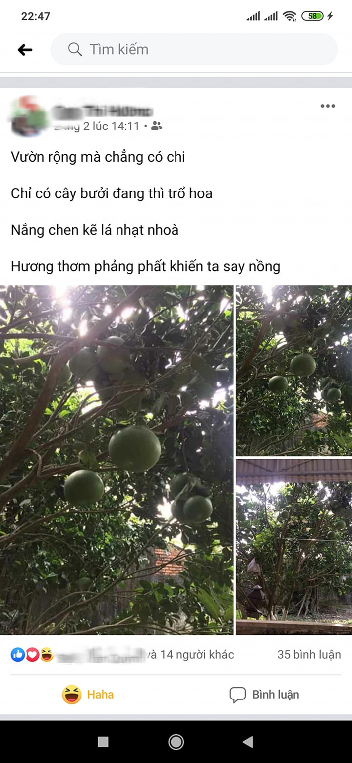 Cô gái khoe 