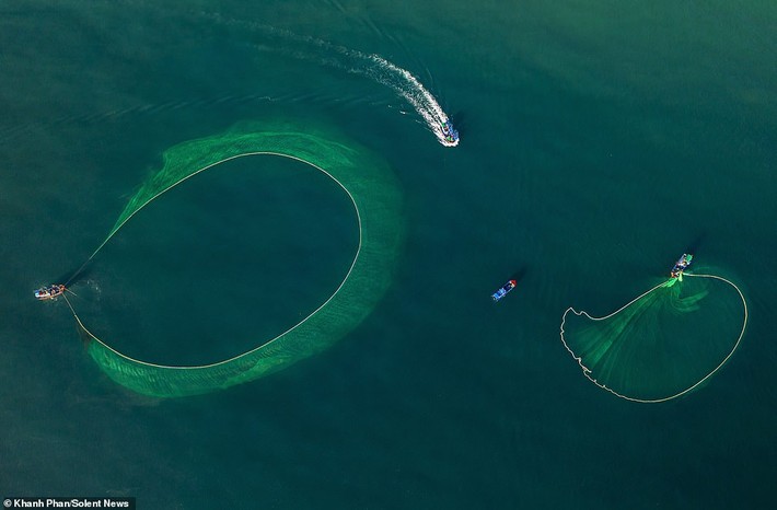 Cảnh người dân tung lưới đánh cá ở Phú Yên đầy mê hoặc được báo nước ngoài chia sẻ và ca ngợi hết lời - Ảnh 5.